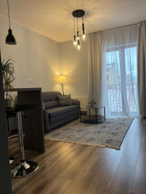 Cozy Apartmant in OldTown & Free Underground Parking, Riga